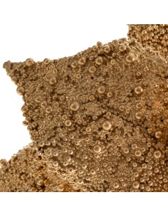 KWIAT ŚWIĄTECZNY 268 O 25 CM ZŁOTY 2