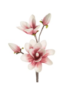 KWIAT FLORE 667 FI 17 X 59 CM BIAŁY