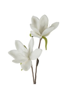 KWIAT FLORE 748 O 17 X 70 CM BIAŁY