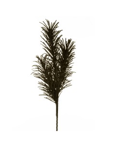 KWIAT FLORE 767 100 CM CZARNY