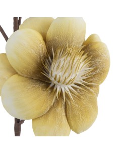 KWIAT FLORE 802 97 CM OLIWKOWY 2