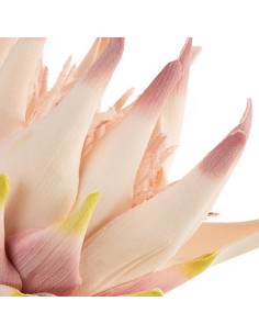 KWIAT FLORE 792 76 CM RÓŻOWY 2