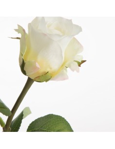 KWIAT NATU 440 55 CM KREMOWY 2