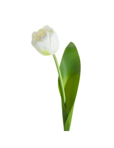 KWIAT NATU 475 37 CM BIAŁY