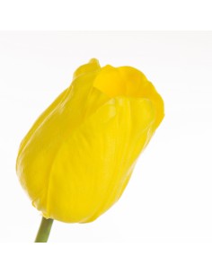KWIAT NATU 477 56 CM ŻÓŁTY 2