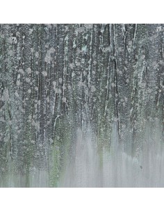 OBRAZ 618 140 X 70 CM SZARY 2