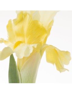 KWIAT NATU 330 70 CM ŻÓŁTY 2