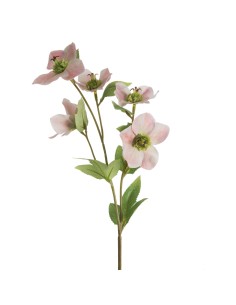 KWIAT NATU 439 57 CM JASNORÓŻOWY