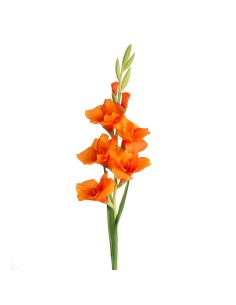 KWIAT NATU 447 85 CM POMARAŃCZOWY