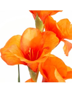 KWIAT NATU 447 85 CM POMARAŃCZOWY 2