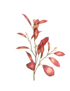 KWIAT NATU 453 69 CM BORDOWY