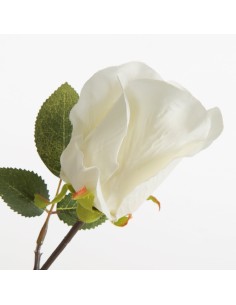 KWIAT NATU 430 53 CM KREMOWY 2