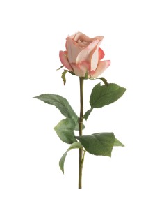 KWIAT NATU 436 68 CM PUDROWY