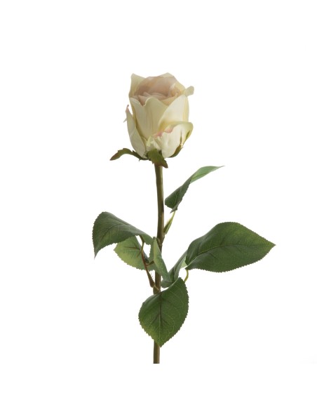 KWIAT NATU 436 68 CM KREMOWY