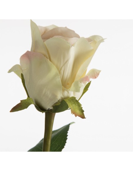 KWIAT NATU 436 68 CM KREMOWY