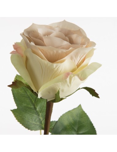 KWIAT NATU 437 67 CM KREMOWY