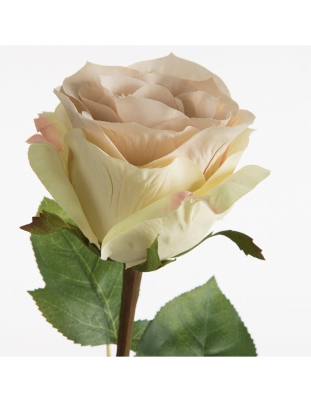 KWIAT NATU 437 67 CM KREMOWY