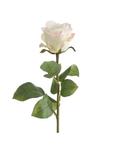 KWIAT NATU 437 67 CM KREMOWY