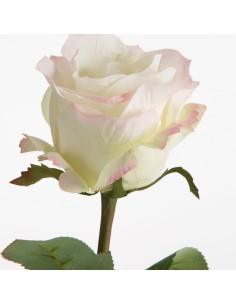 KWIAT NATU 437 67 CM KREMOWY 2