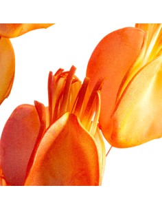 KWIAT FLORE 754 92 CM POMARAŃCZOWY 2