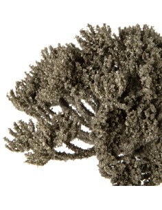 KWIAT NATU 416 O 17 X 60 CM SZAROBEŻOWY 2