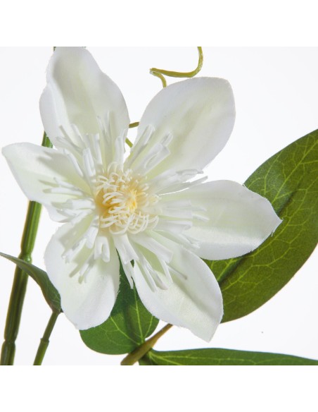 KWIAT NATU 393 85 CM KREMOWY