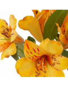 KWIAT NATU 385 48 CM ŻÓŁTY 2