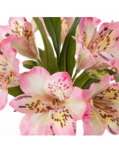 KWIAT NATU 385 48 CM JASNORÓŻOWY 2