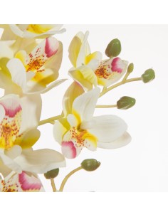 KWIAT NATU 367 FI 5 X 77 CM BIAŁY 2