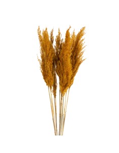 KWIAT NAT 73 CM POMARAŃCZOWY