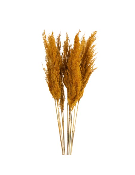 KWIAT NAT 73 CM POMARAŃCZOWY