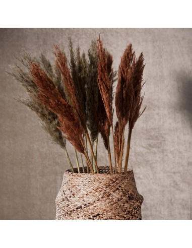 KWIAT NAT 73 CM POMARAŃCZOWY