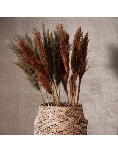 KWIAT NAT 73 CM POMARAŃCZOWY