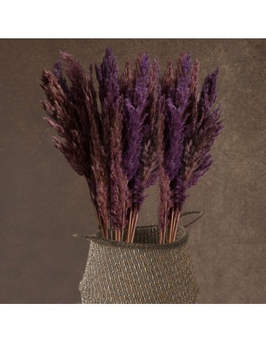 KWIAT NAT 73 CM POMARAŃCZOWY