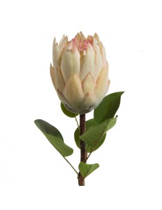 KWIAT NATU 358 66 CM KREMOWY