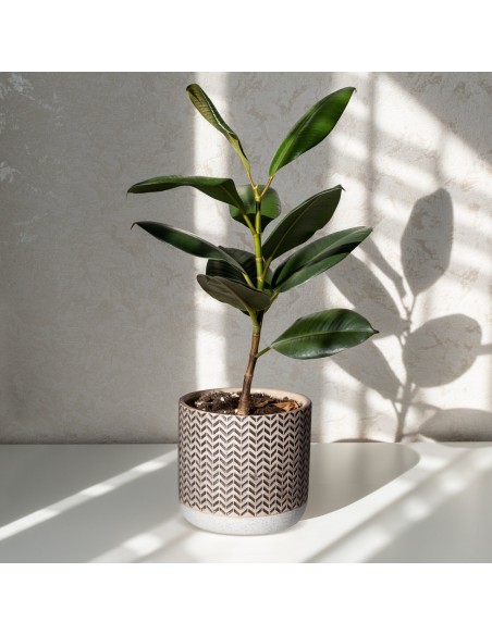 CERAMIKA FI 11 X 10 CM KREMOWY