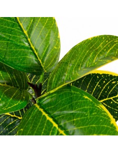 KWIAT NATU 301 40 CM ZIELONY 2