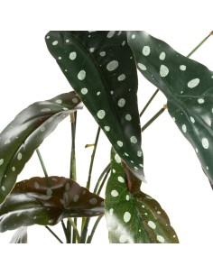 KWIAT NATU 305 45 CM ZIELONY 2