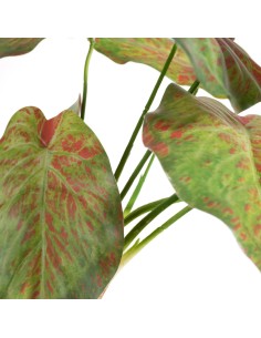 KWIAT NATU 287 45 CM ZIELONY 2