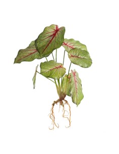 KWIAT NATU 287 45 CM ZIELONY