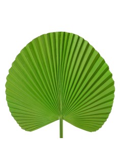 KWIAT LIŚĆ 32 55 CM ZIELONY